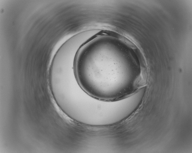 X0000057081152200509231617