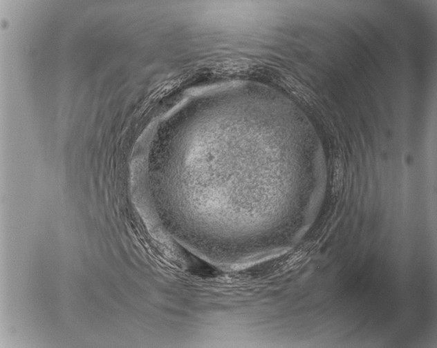 X0000057081153200509231616