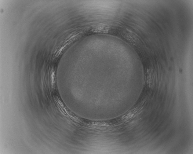 X0000057081154200509231616