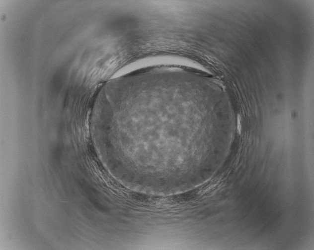 X0000057081155200509231616