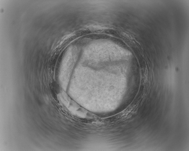 X0000057081157200509231616