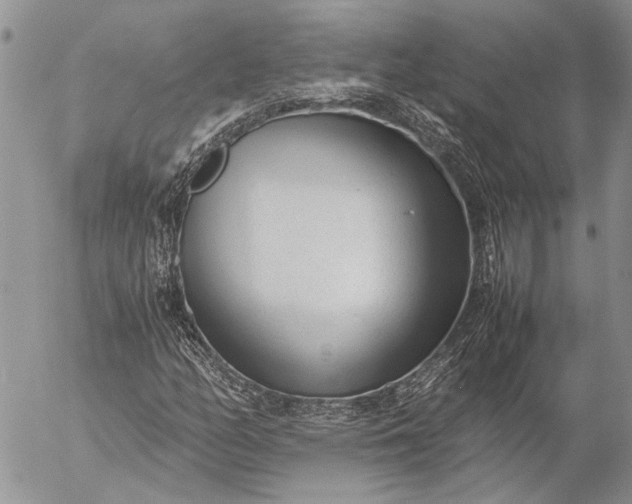 X0000057081158200509231616