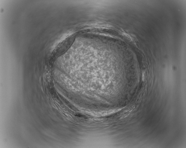 X0000057081159200509231616