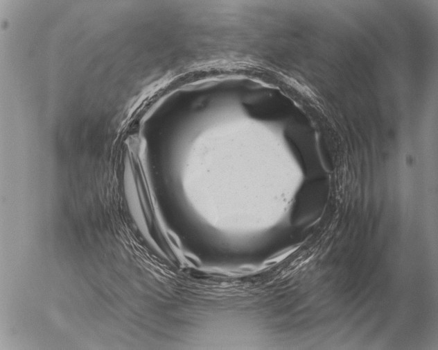 X0000057081160200509231616