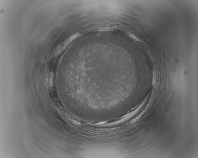 X0000057081161200509231616