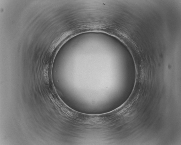 X0000057081162200509231616