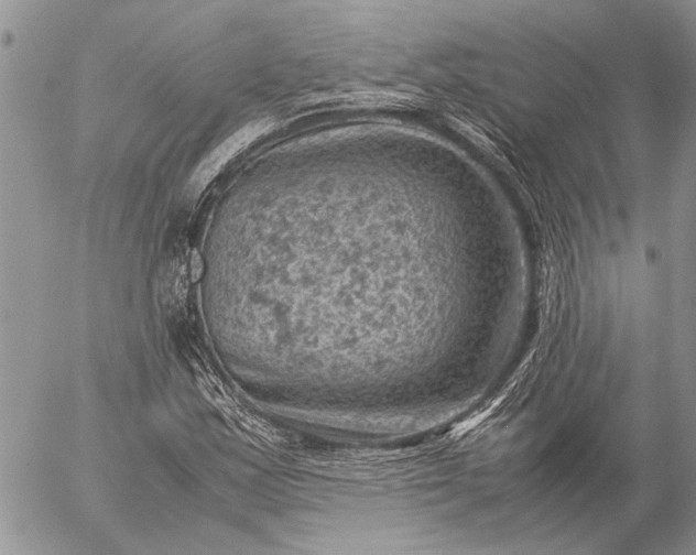 X0000057081163200509231616