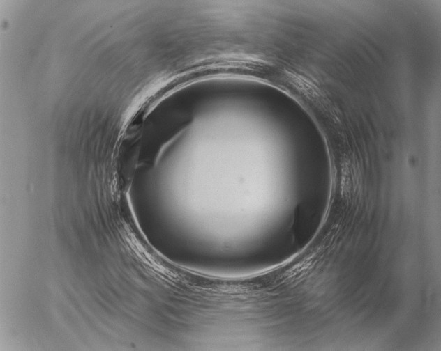 X0000057081164200509231616