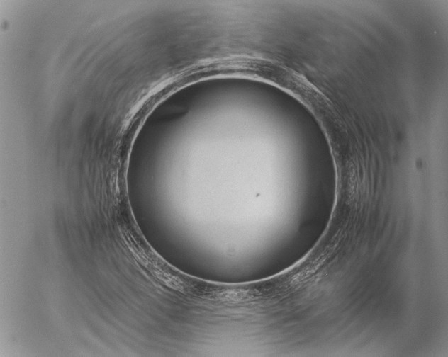 X0000057081166200509231616