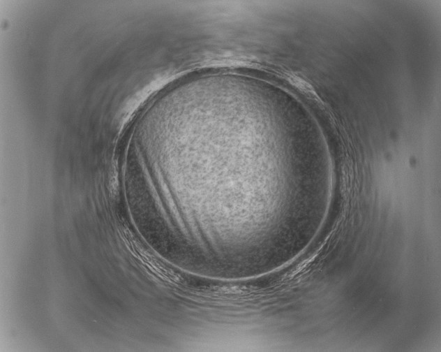 X0000057081167200509231616