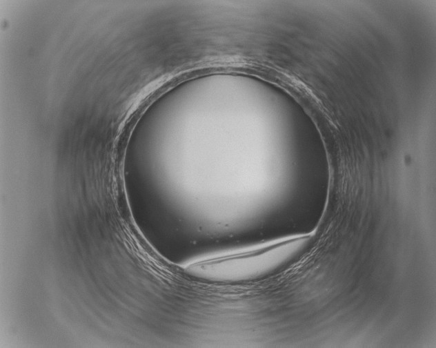 X0000057081168200509231616