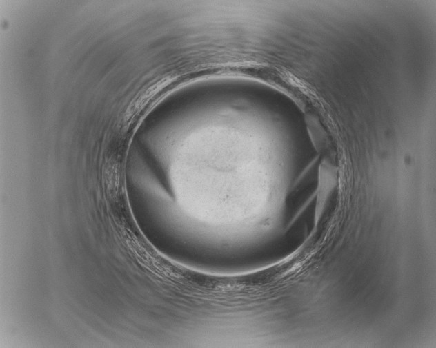 X0000057081169200509231616