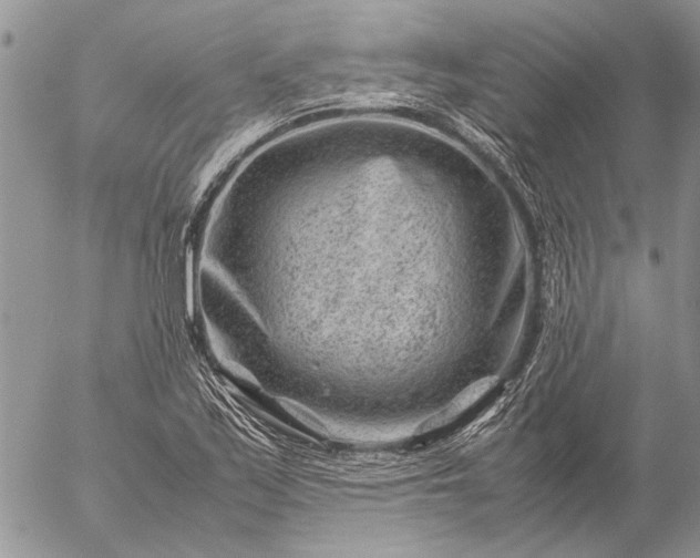 X0000057081171200509231616