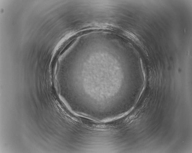 X0000057081172200509231616