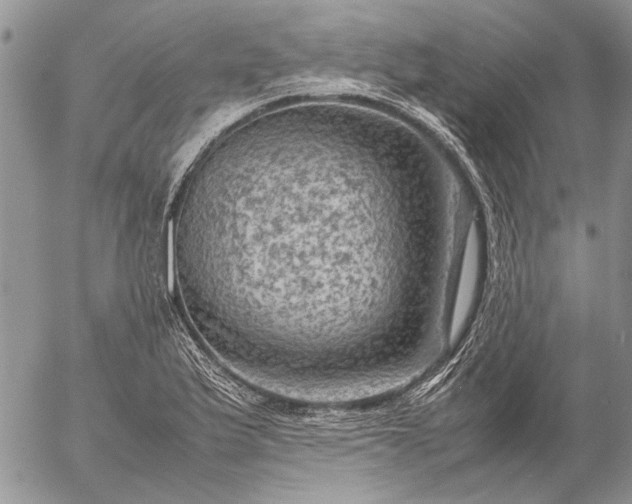 X0000057081175200509231616