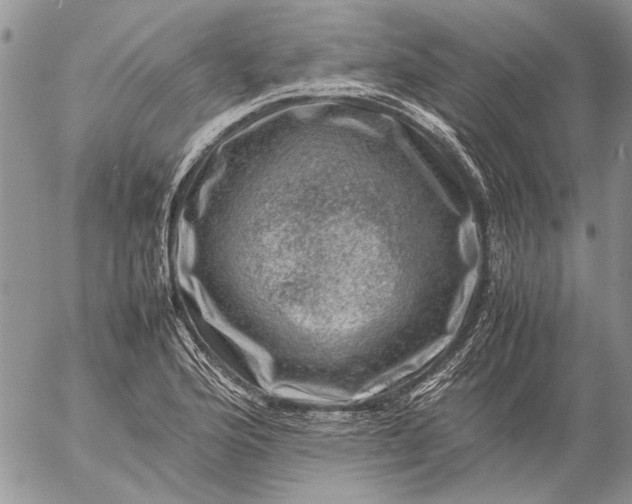 X0000057081176200509231616