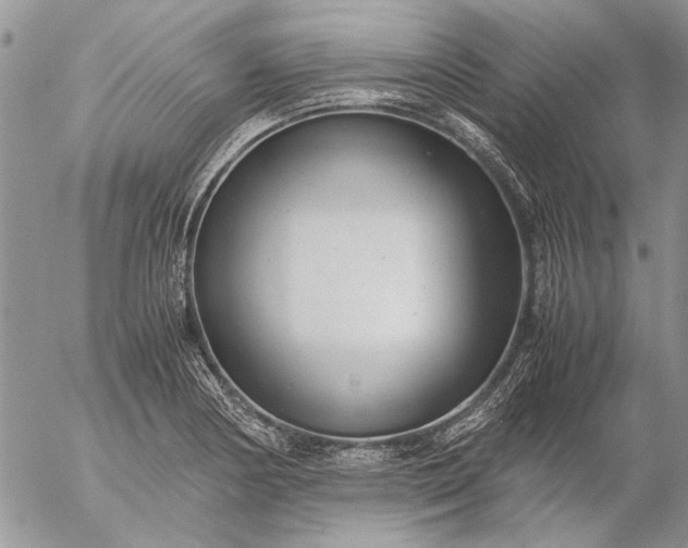 X0000057081178200509231616