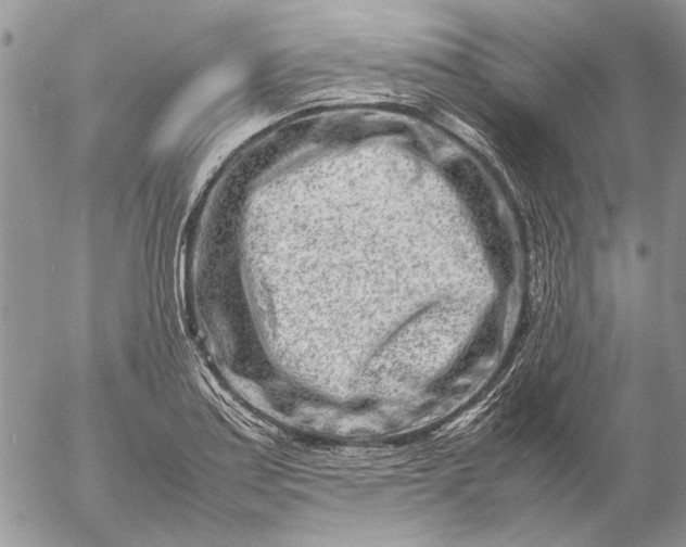 X0000057081179200509231616