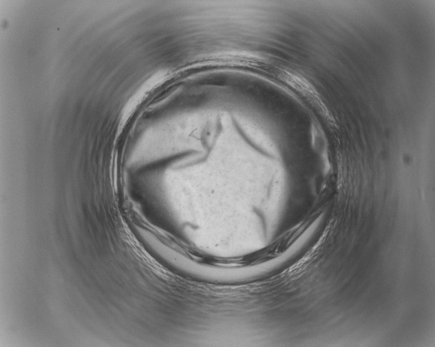 X0000057081180200509231616