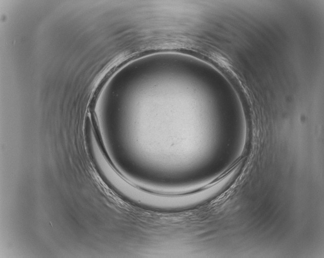 X0000057081181200509231616