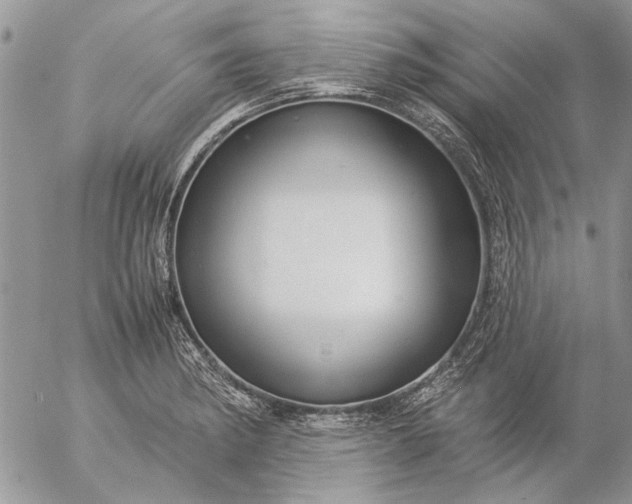 X0000057081182200509231616