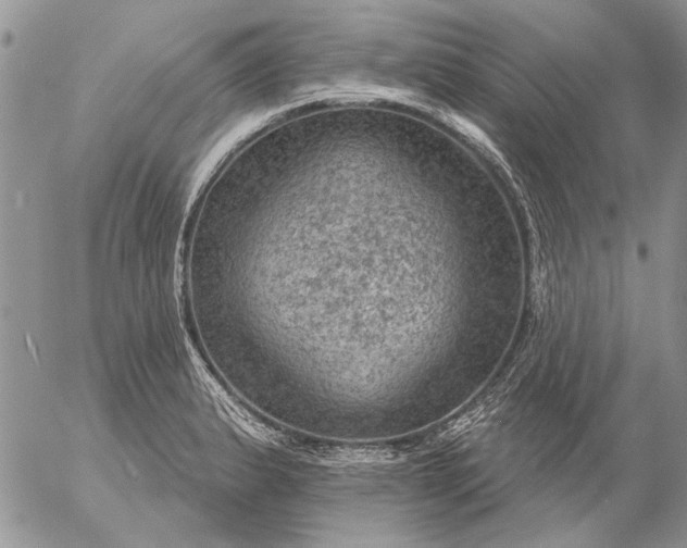 X0000057081183200509231616