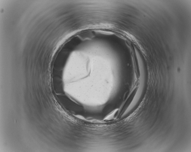 X0000057081184200509231616