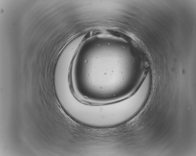 X0000057081185200509231616