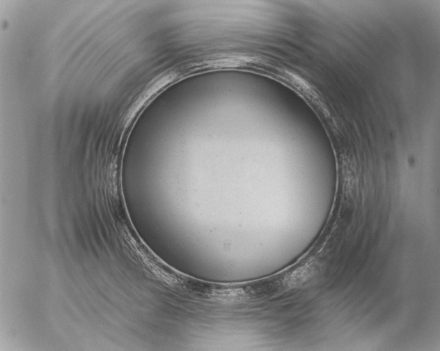 X0000057081186200509231616