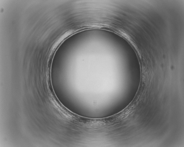 X0000057081187200509231616