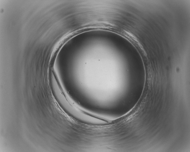 X0000057081188200509231616