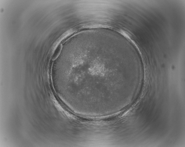 X0000057081189200509231616