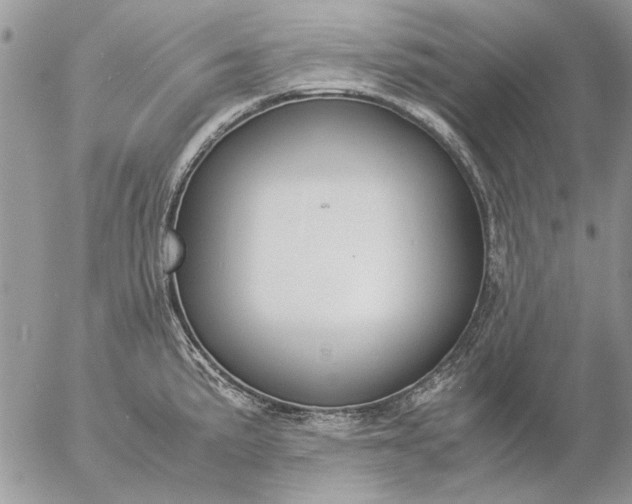 X0000057081191200509231616