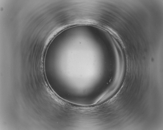 X0000057081192200509231616