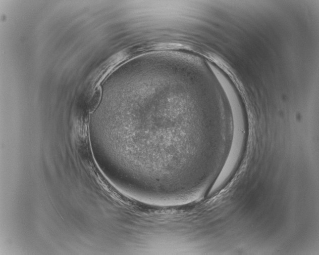 X0000057081193200509231616