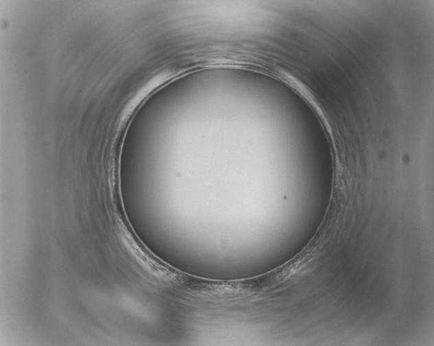 X0000057081195200509231616