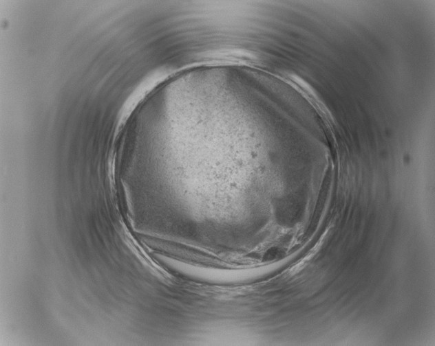 X0000057081196200509231616