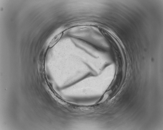 X0000057081197200509231616