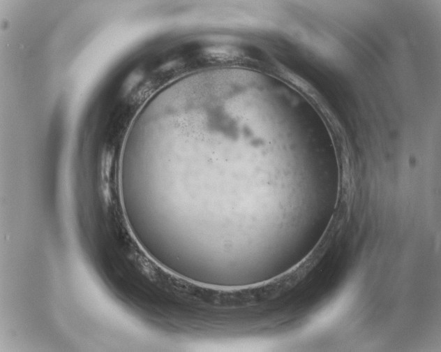 X0000057081199200509231616