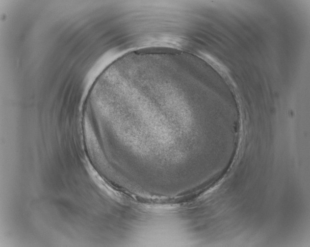 X0000057081200200509231616