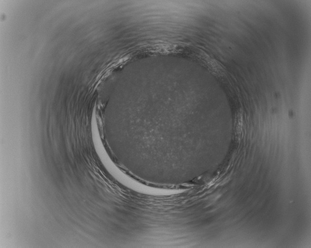 X0000057081202200509231615