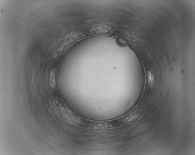 X0000057081203200509231615