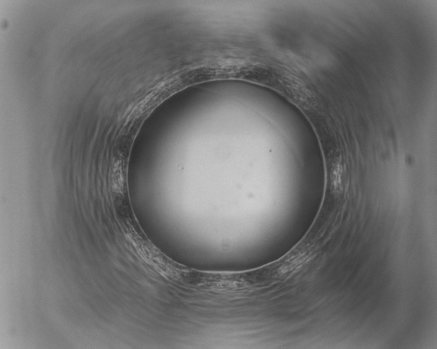 X0000057081204200509231615