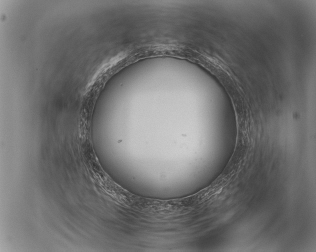 X0000057081207200509231615