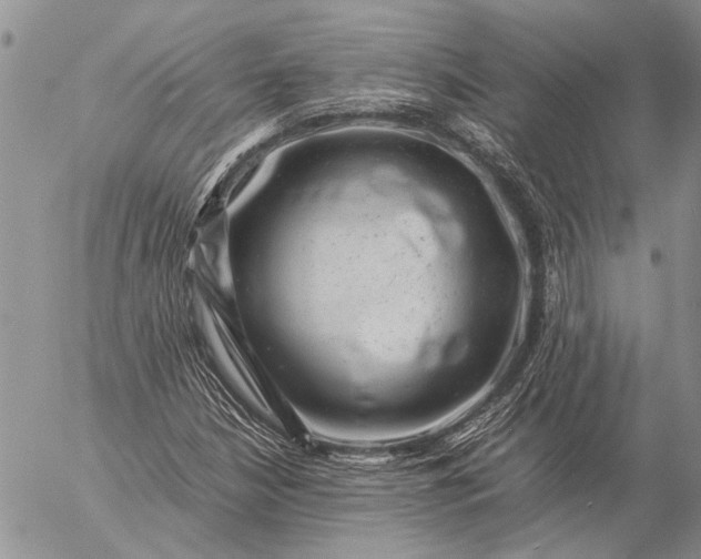 X0000057081210200509231615