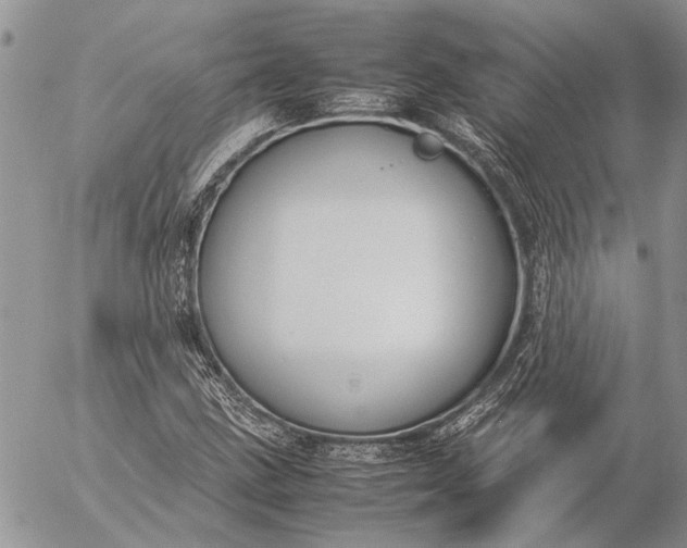 X0000057081211200509231615