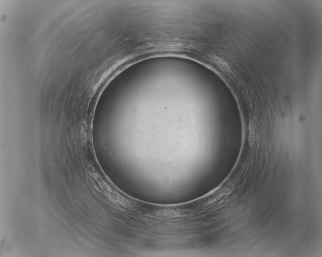 X0000057081212200509231615