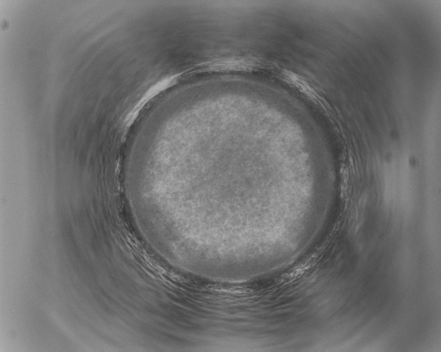 X0000057081213200509231615