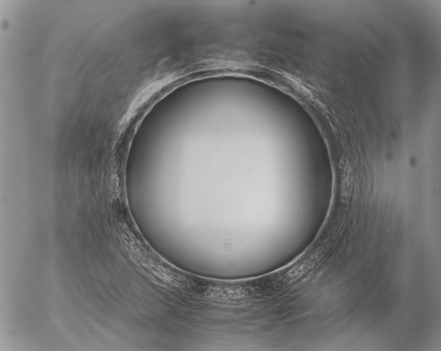 X0000057081215200509231615