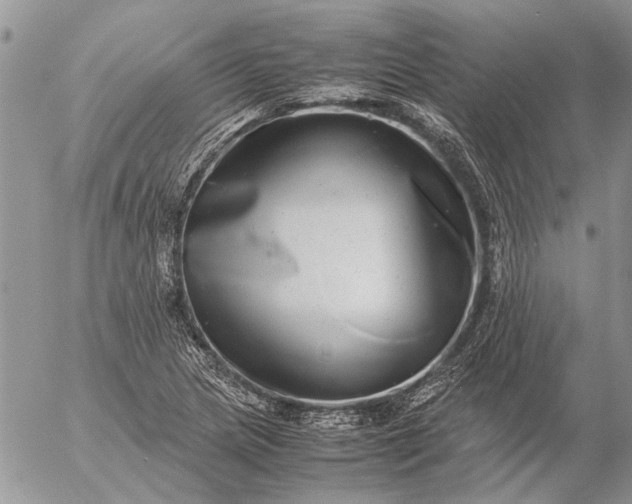 X0000057081217200509231615